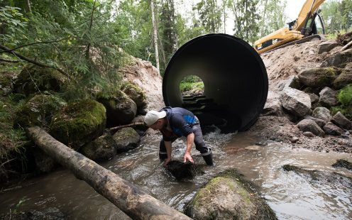 Erikoisvalmisteinen tierumpu taimenien avuksi