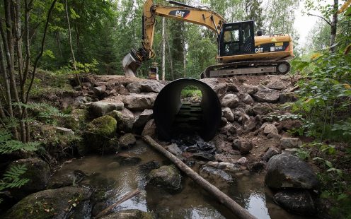 WWF, K-ryhmä ja Porvoonjoen vesien- ja ilmansuojeluyhdistys ry järjestivät 3.8.2019 Hollolan Ylösjoen varrella talkootapahtuman, jossa kunnostettiin lisääntymispaikkoja alkuperäiseksi todetulle taimenkannalle. Uhanalaiset taimenet eivät ole pitkään aikaan päässeet kutemaan Ylösjoen varrelle, koska vanhat betoniset tierummut ovat estäneet niiden vapaan nousun kutupaikoille. Taimenien kulkua hankaloittaneet tierummut vaihdettiin uuteen erikoisvalmisteiseen tierumpuun. Perinteiseen tierumpuun verraten uudessa tierummussa on huomioitu taimenien kulku muokkaamalla tierummun alaosaa siten, että kalat pääsevät nyt esteettömästi kulkemaan kutupaikoille.